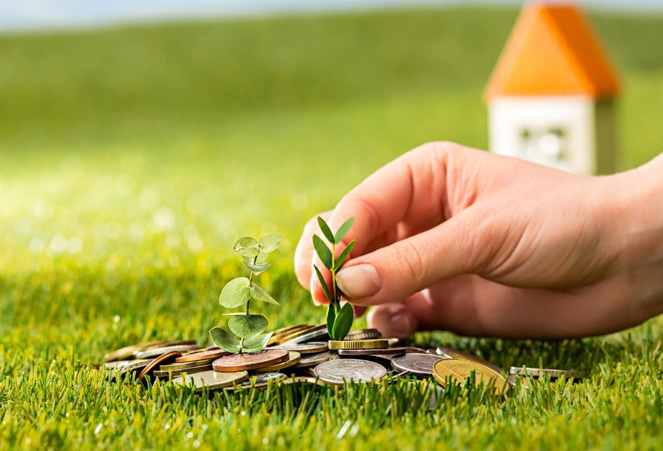 Investment plots